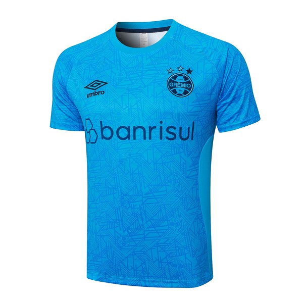 Camiseta Entrenamiento Grêmio FBPA 2024-25 Azul